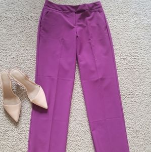 Gorgeous purple pant